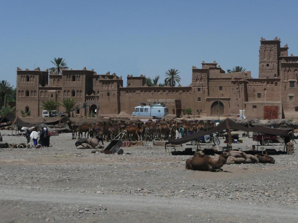 Espace Kasbah Amridil Скура Екстериор снимка